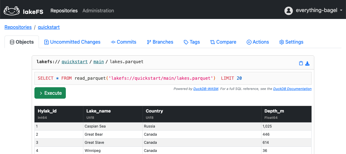 DuckDB query editor on the lakeFS objects page